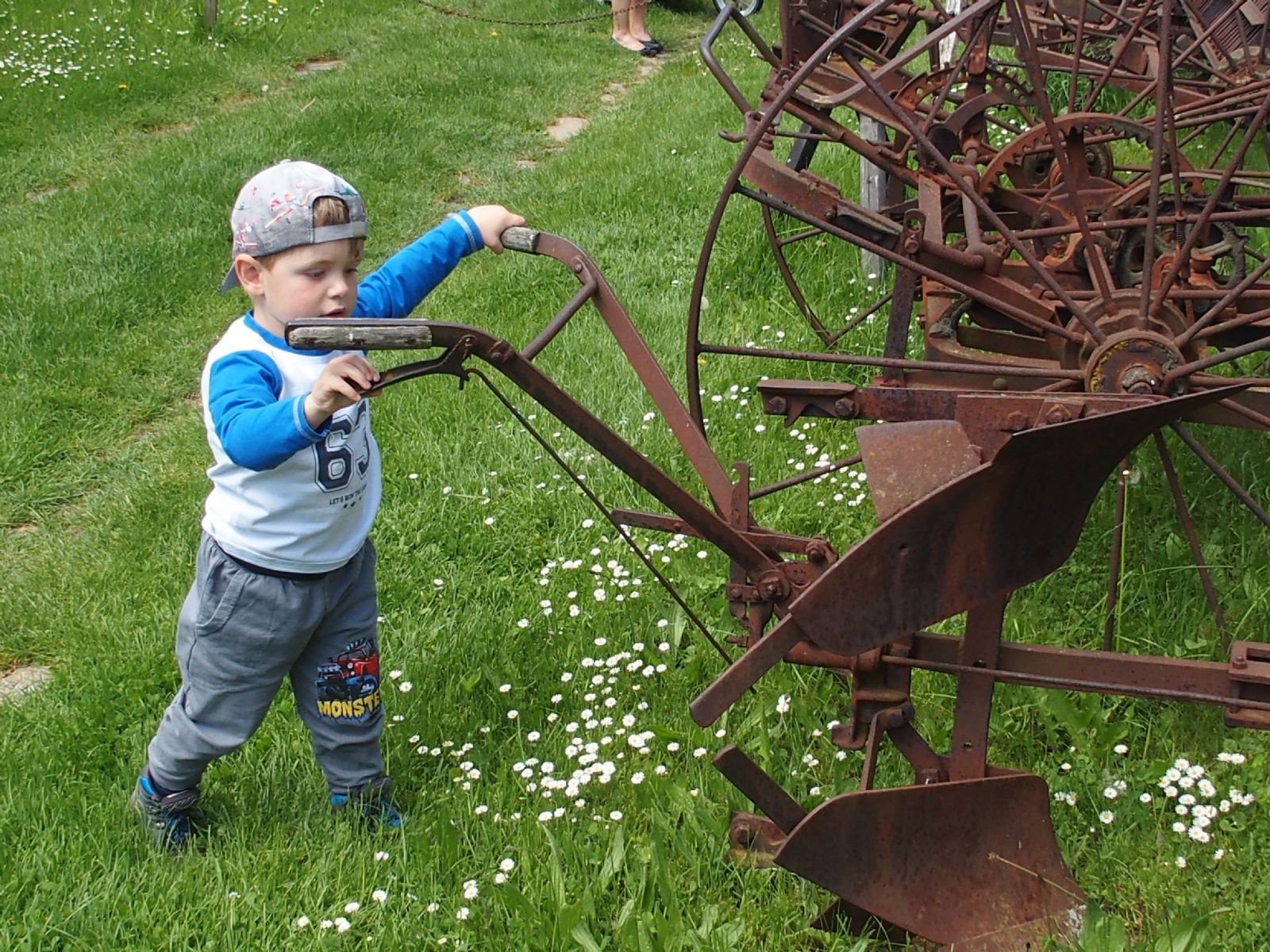 Na procházku autobusem do Holašovic a na Kleť!