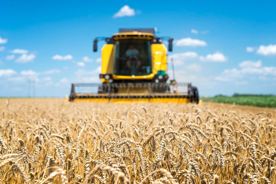 obrázek: Sucho a nízké ceny komplikují zemědělcům sezonu. Vláda slibuje pomoc 800 milionů