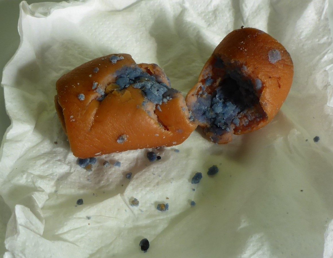 Bezdrevská: otrávené návnady ohrožují psy