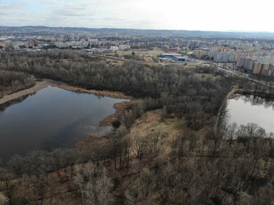Obnova Vávrovských rybníků přinese více přírody i nové stezky