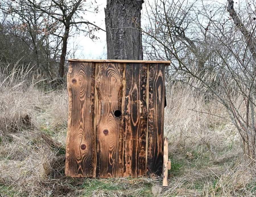 Písecko má nové hnízdiště pro ohroženého dudka chocholatého