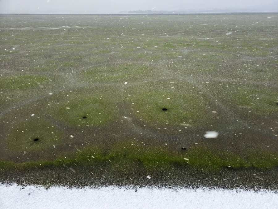 Lipno pod zeleným ledem: vědci popsali zimní květ sinic