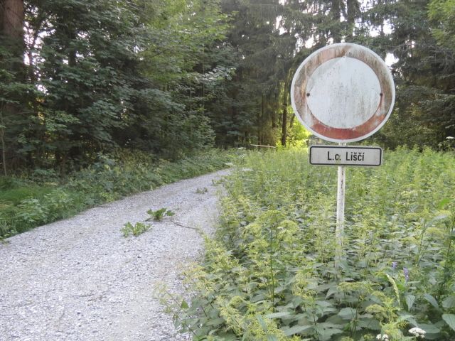 obrázek: Havárie kočáru taženého koněm