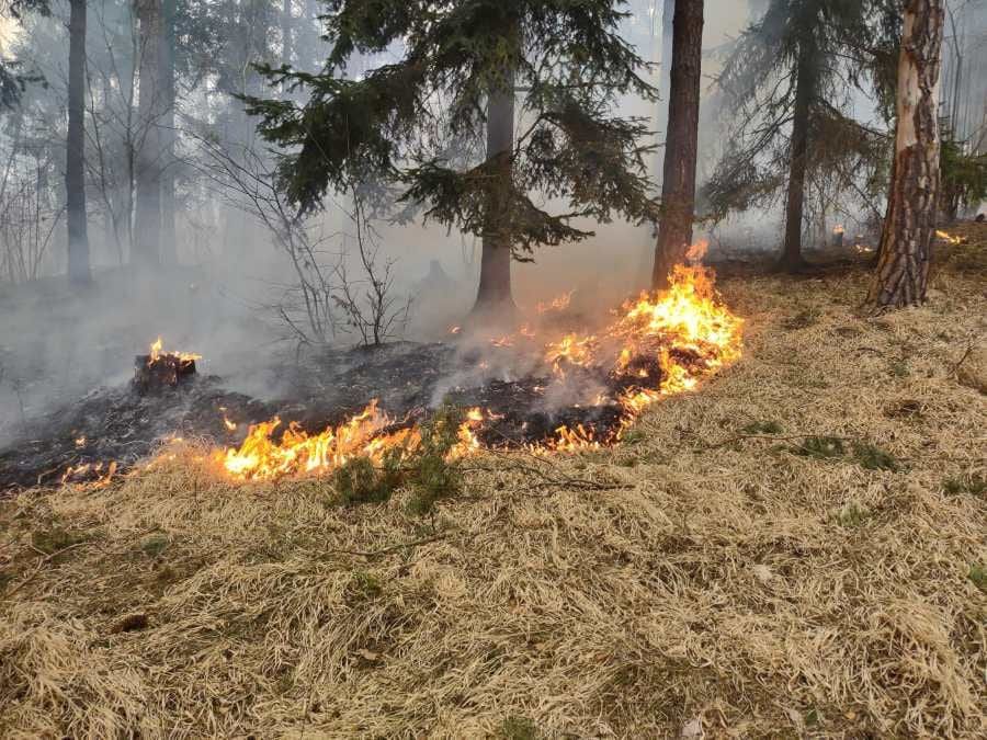 Požáry v Jihočeském kraji: 1 169 událostí a osm obětí v roce 2025