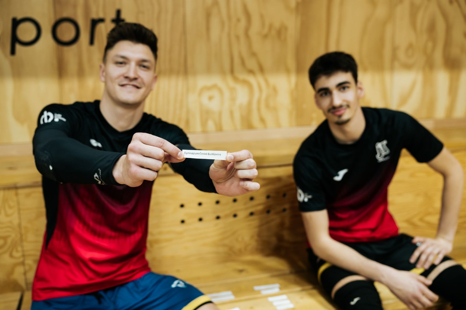 Finále volejbalu za hejtmanův pohár