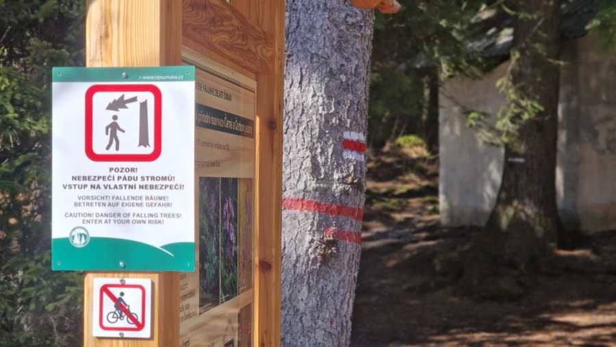 U Černého jezera na Šumavě dočasně uzavřou část stezky kvůli kůrovci