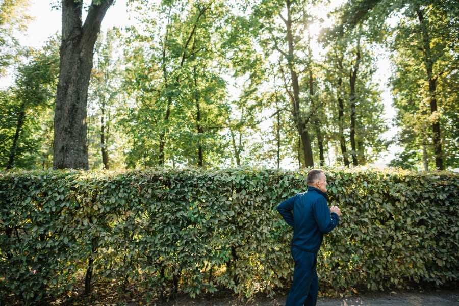 Zimostráz čelí rizikům: ohrožují ho sucho i zavíječ