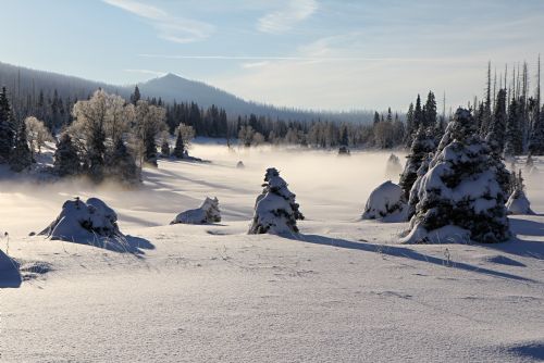 obrázek:Mikroregion Šumava-západ připravuje turistické balíčky i v době koronaviru