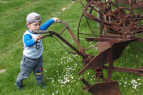 obrázek:Na procházku autobusem do Holašovic a na Kleť!