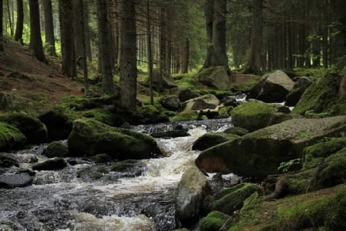 Foto: Mezi dovolenkovými destinacemi letos vede Šumava, nákazy koronavirem se nebojí 40 % Čechů