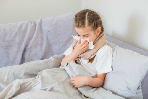 obrázek:Respirační infekce v Jihočeském kraji dál klesají