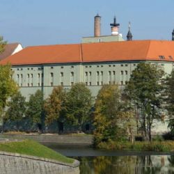 Strach, loutky a mravenci: Sladovna Písek otevírá tři nové výstavy