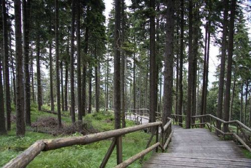 obrázek:Šumava upravuje rozpočet: zanikne asi 15 míst, část péče může být dočasně omezená