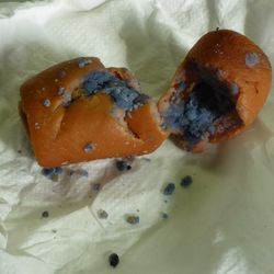 Bezdrevská: otrávené návnady ohrožují psy