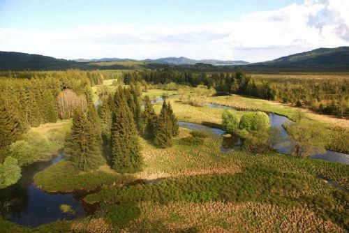 obrázek:Národní park Šumava přijde o 70 milionů, správa plánuje úspory a uzavření infocenter