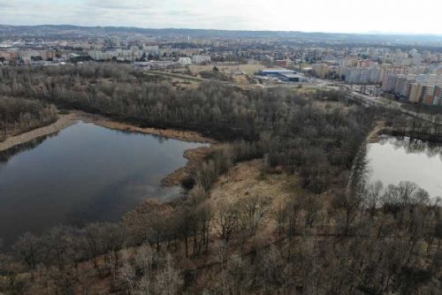 obrázek:Obnova Vávrovských rybníků přinese více přírody i nové stezky