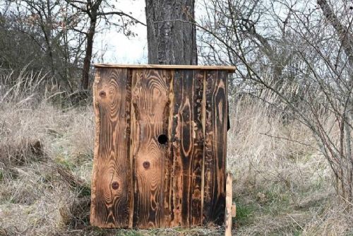 obrázek:Písecko má nové hnízdiště pro ohroženého dudka chocholatého