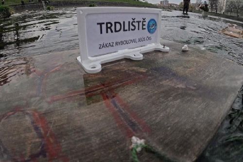 obrázek:Pod píseckým jezem vznikla plovoucí trdliště pro podporu ryb