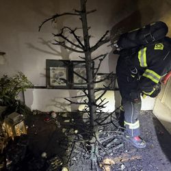 Prskavky zapálily stromek, hasiči zasahovali 28×