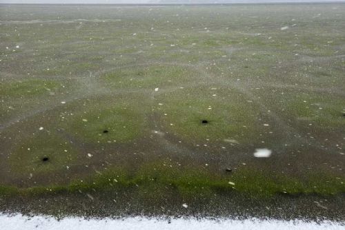 obrázek:Lipno pod zeleným ledem: vědci popsali zimní květ sinic