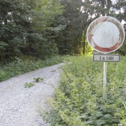 Havárie kočáru taženého koněm