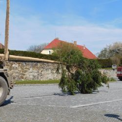 ČERNOŠÍNSKÁ MÁJKA