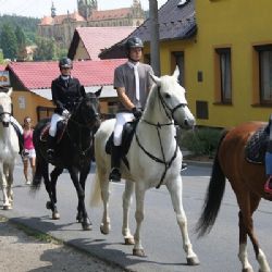 V KLADRUBECH BYL DEN KONÍ, DĚTI SI JEJ UŽILY