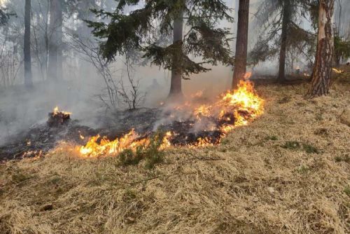 obrázek:Požáry v Jihočeském kraji: 1 169 událostí a osm obětí v roce 2025