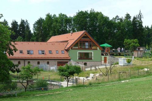Foto: Táborská zoo hledá nový domov pro zachráněné vlky