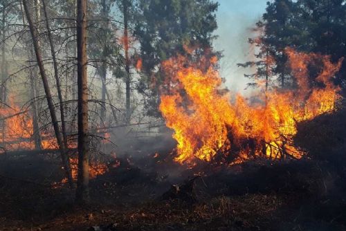 obrázek:Požárů v přírodě rychle přibývá. Jaro přináší zvýšené riziko