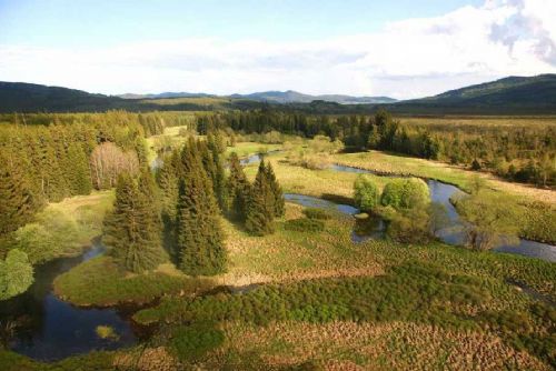 obrázek:Šumava slaví 35 let: od zásahů k návratu divočiny