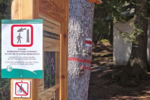 obrázek:U Černého jezera na Šumavě dočasně uzavřou část stezky kvůli kůrovci