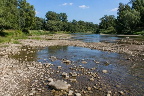 obrázek:Jihočeské řeky mají na začátku srpna extrémně nízké hladiny. Potoky místy vysychají