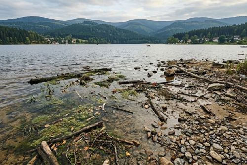 obrázek:Lipenská přehrada řeší výskyt bentických sinic, vědci zatím hledají příčinu