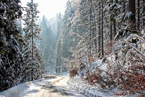 Foto: Nebezpečí padajících kamenů na oblíbené turistické stezce u Vltavy