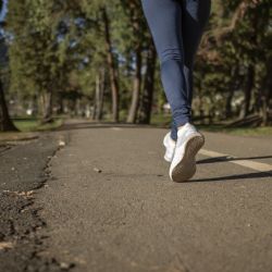 Lesná bude mít sportovní halu